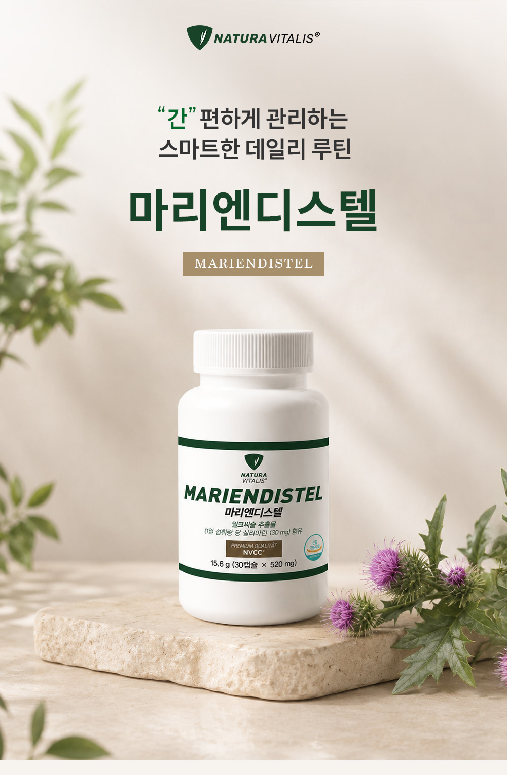 마리엔디스텔 상세 이미지 2