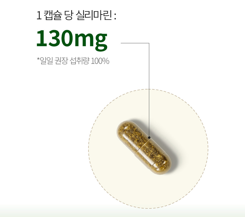 마리엔디스텔 상세 이미지 6