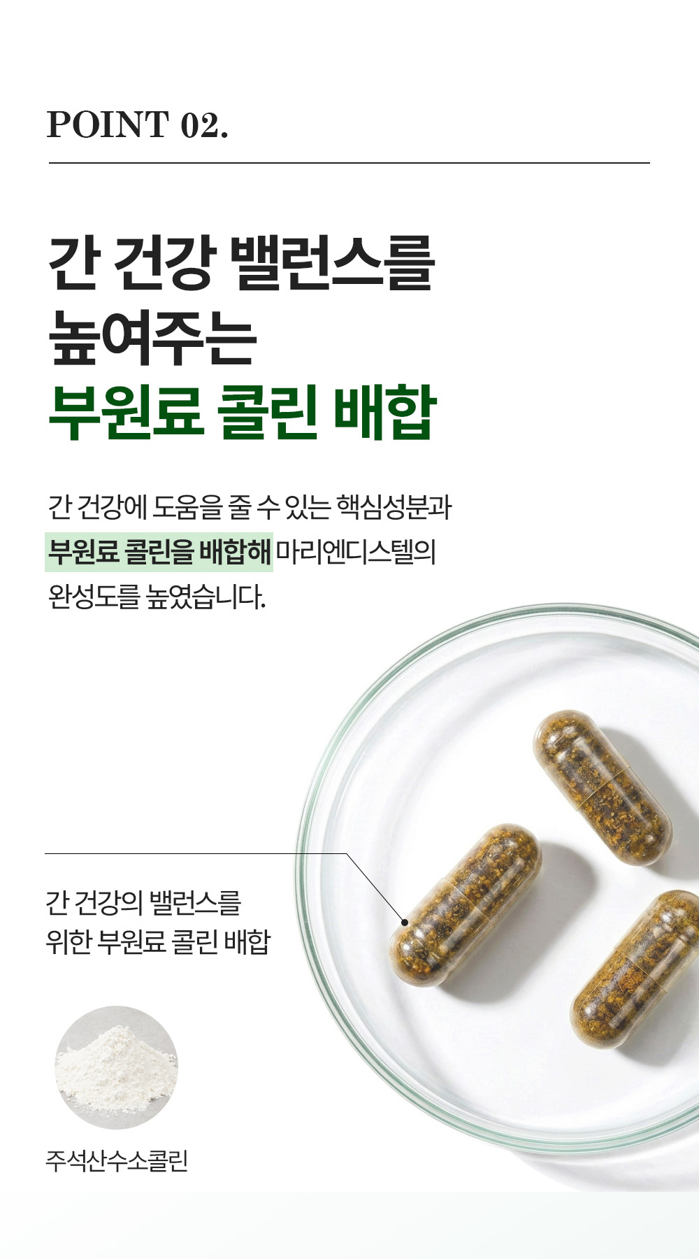 마리엔디스텔 상세 이미지 9