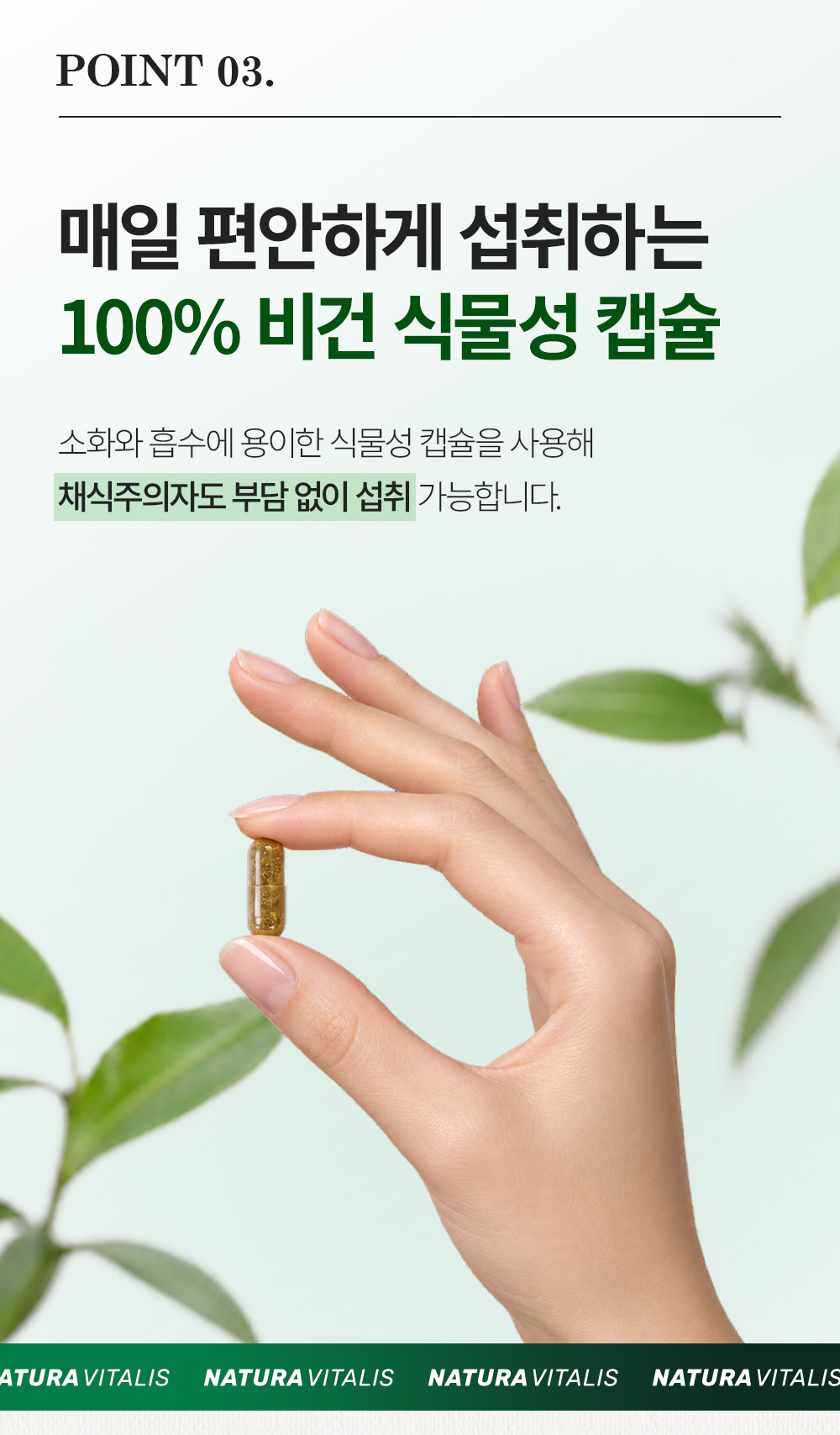 마리엔디스텔 상세 이미지 10