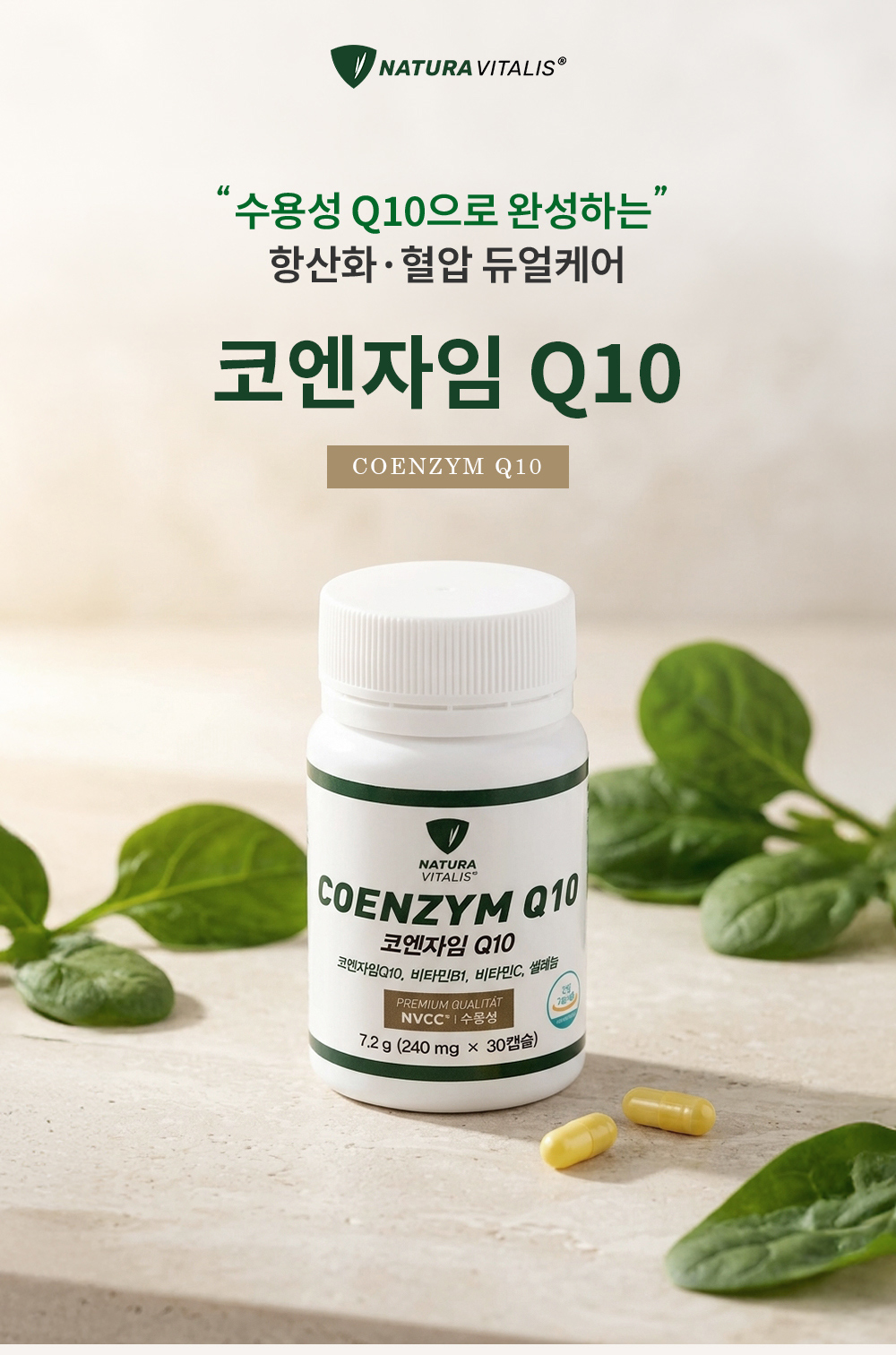 코엔자임 Q10 상세 이미지 2