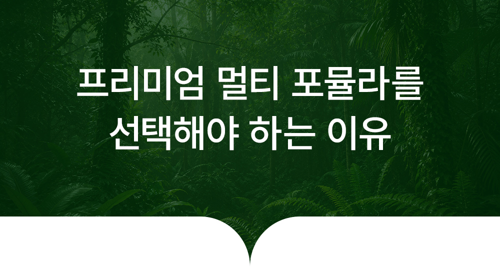 프리미엄 멀티 포뮬라 상세 이미지 4