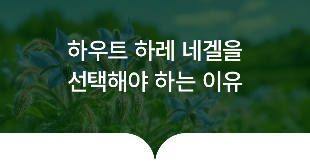 하우트 하레 네겔 상세 이미지 4