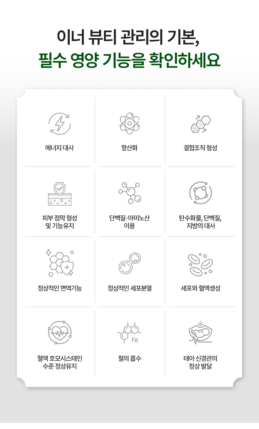 하우트 하레 네겔 상세 이미지 6