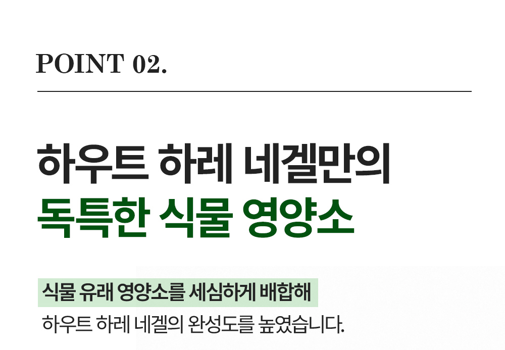 하우트 하레 네겔 상세 이미지 7