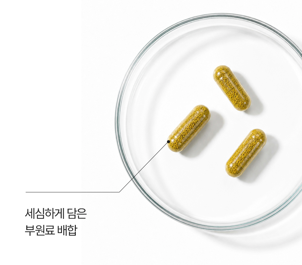 하우트 하레 네겔 상세 이미지 8