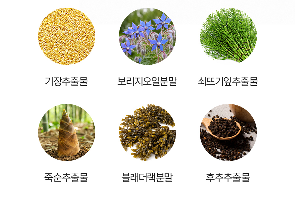 하우트 하레 네겔 상세 이미지 9